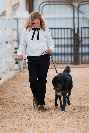 DAY2DOGSHOW50