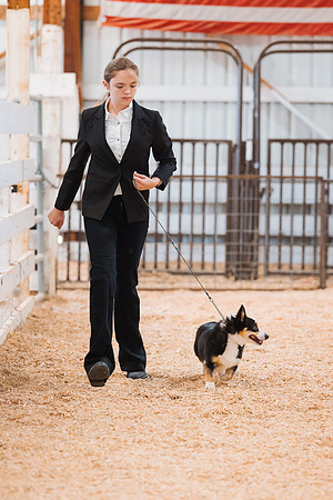 DAY2DOGSHOW52