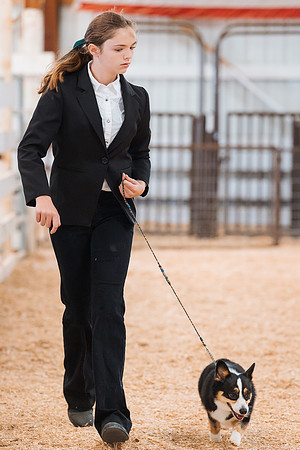 DAY2DOGSHOW53