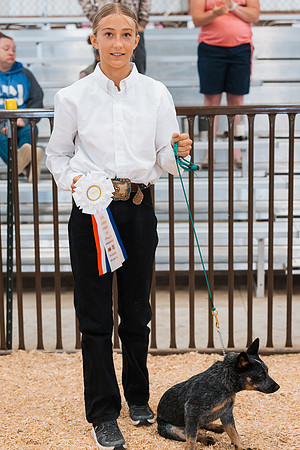 DAY2DOGSHOW57