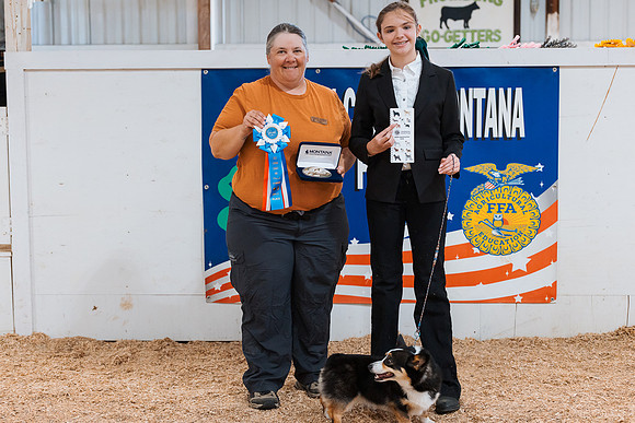 DAY2DOGSHOW59