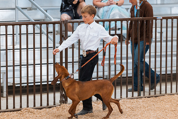 DAY2DOGSHOW61