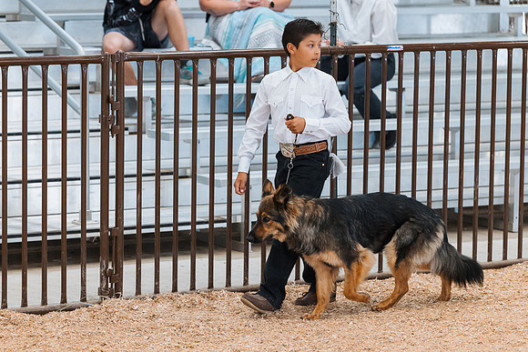 DAY2DOGSHOW60