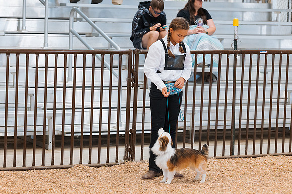 DAY2DOGSHOW63