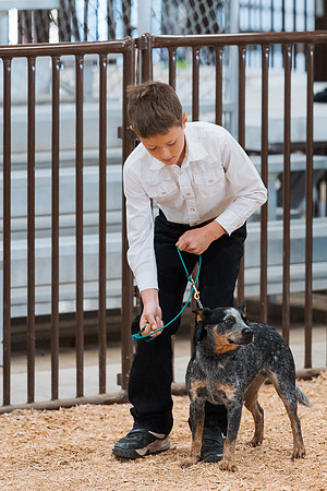 DAY2DOGSHOW64