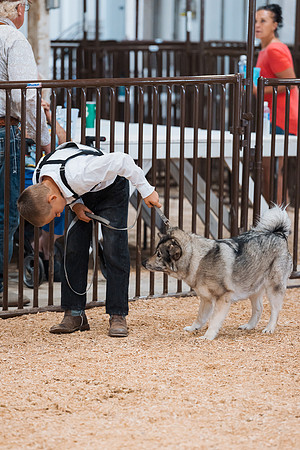 DAY2DOGSHOW65