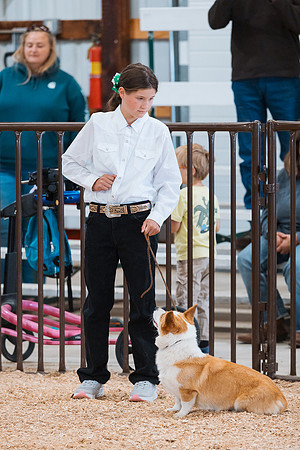 DAY2DOGSHOW66