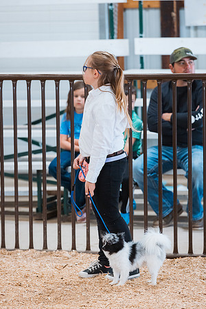 DAY2DOGSHOW67