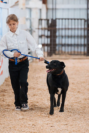 DAY2DOGSHOW68