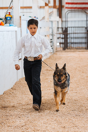 DAY2DOGSHOW69