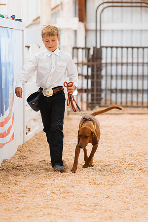 DAY2DOGSHOW70
