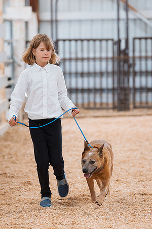 DAY2DOGSHOW71