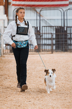 DAY2DOGSHOW73