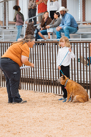 DAY2DOGSHOW72