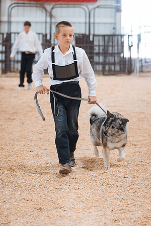 DAY2DOGSHOW75