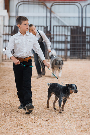 DAY2DOGSHOW74