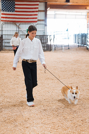 DAY2DOGSHOW76