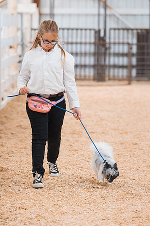 DAY2DOGSHOW77