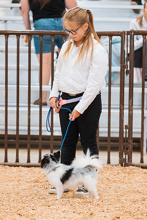 DAY2DOGSHOW79