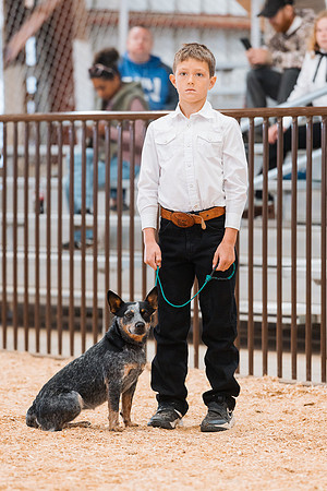 DAY2DOGSHOW81