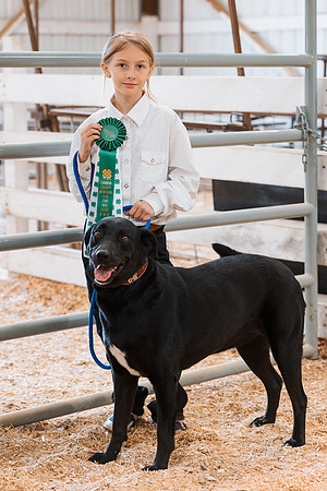 DAY2DOGSHOW83