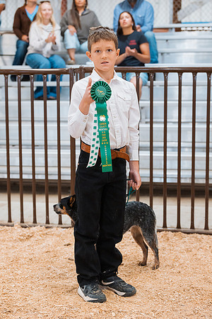 DAY2DOGSHOW84