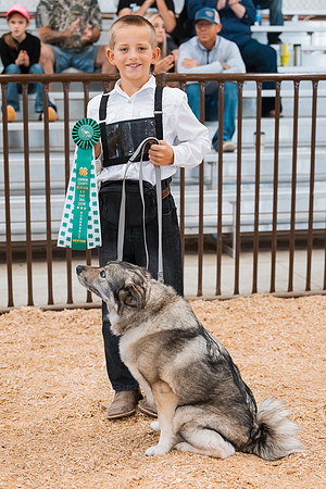 DAY2DOGSHOW85