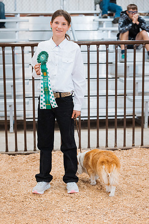 DAY2DOGSHOW86