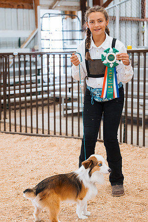 DAY2DOGSHOW87