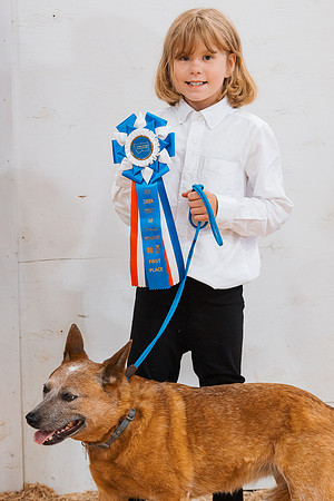 DAY2DOGSHOW91