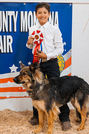 DAY2DOGSHOW90