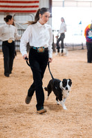 DAY2DOGSHOW17