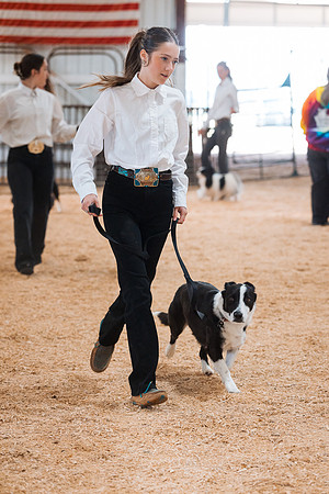 DAY2DOGSHOW17