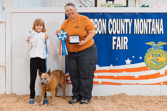 DAY2DOGSHOW92