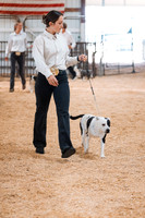 DAY2DOGSHOW18