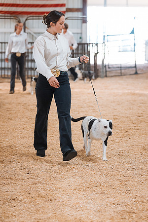 DAY2DOGSHOW18