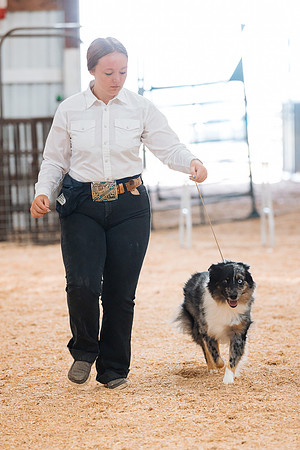 DAY2DOGSHOW22