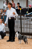 DAY2DOGSHOW20