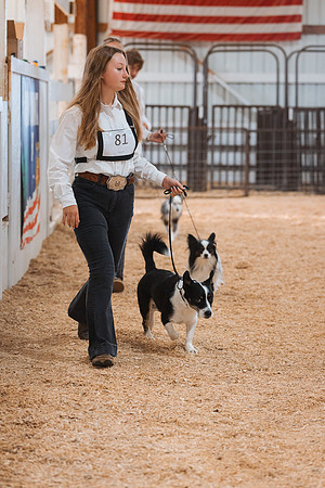 DAY2DOGSHOW19