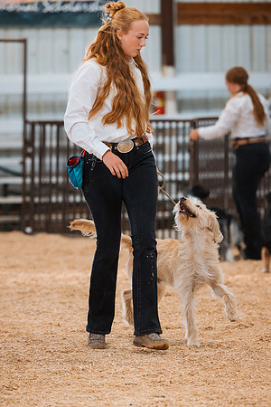 DAY2DOGSHOW21