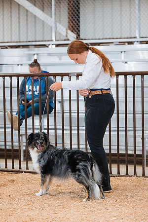 DAY2DOGSHOW23