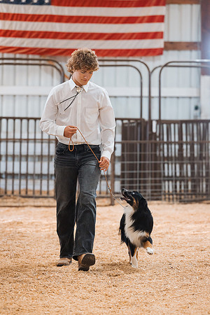 DAY2DOGSHOW25