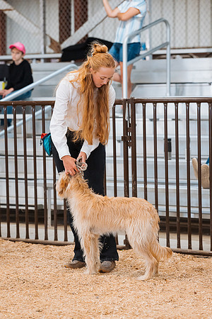 DAY2DOGSHOW24