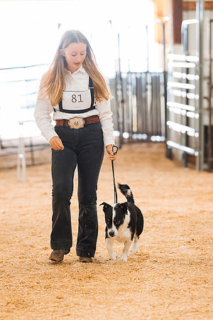 DAY2DOGSHOW28
