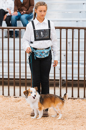 DAY2DOGSHOW96