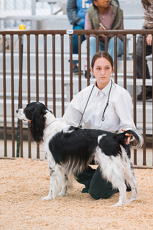 DAY2DOGSHOW94