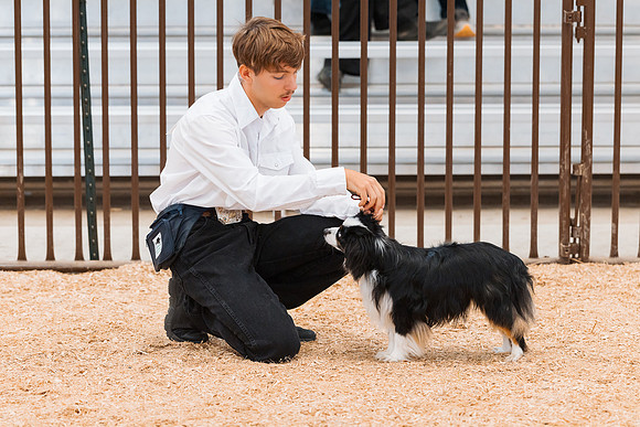 DAY2DOGSHOW97