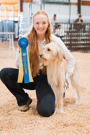 DAY2DOGSHOW93