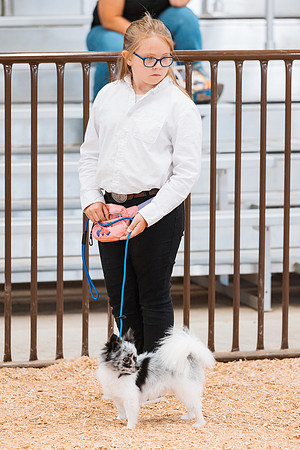 DAY2DOGSHOW98
