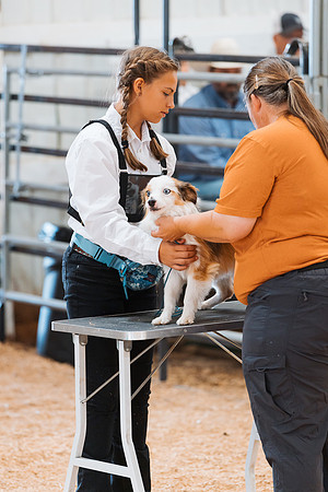 DAY2DOGSHOW100